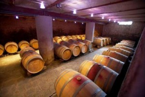 Weingut STROHM – ein Familienbetrieb der Sonderklasse